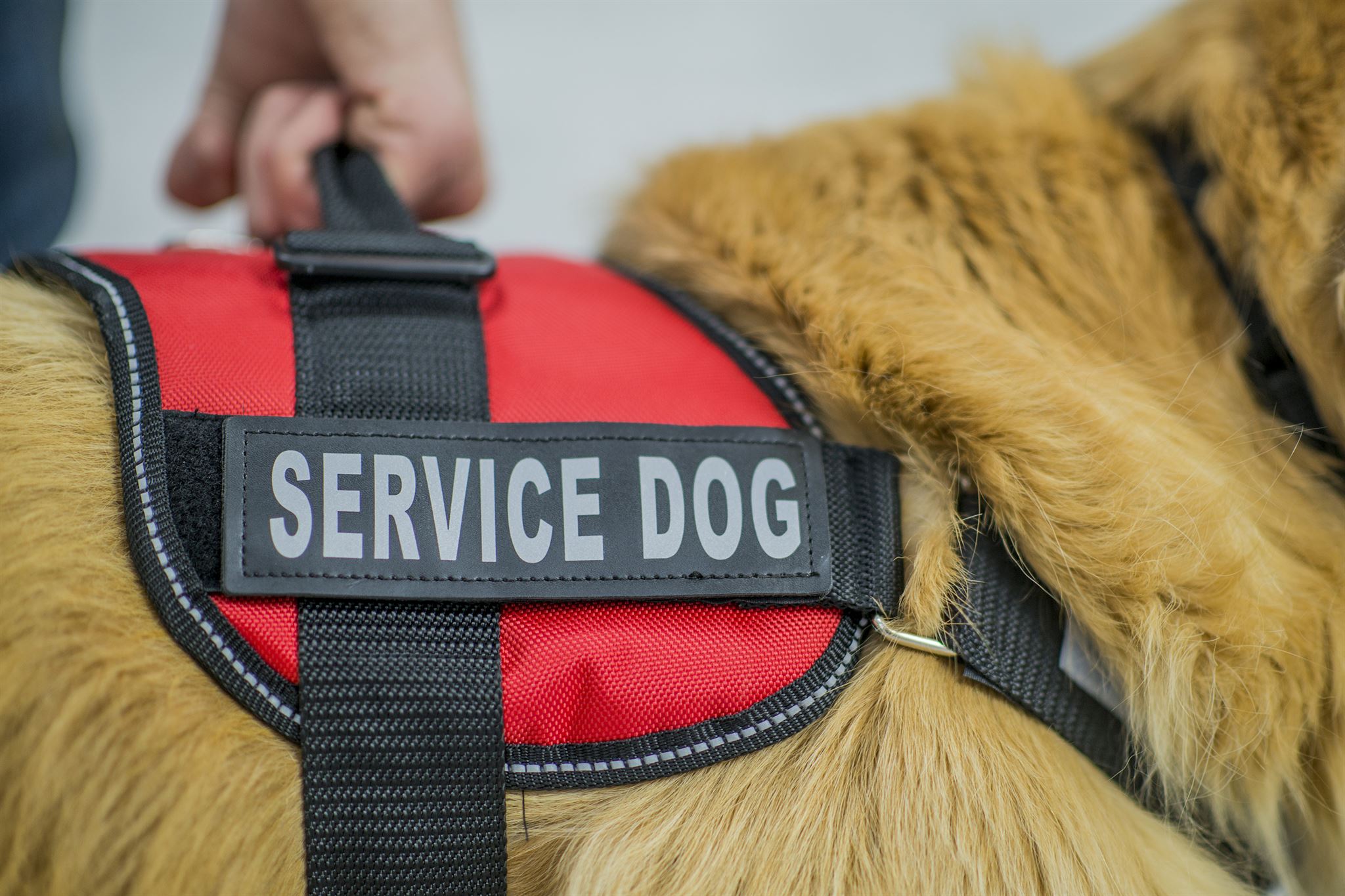 Shield icon representing trust